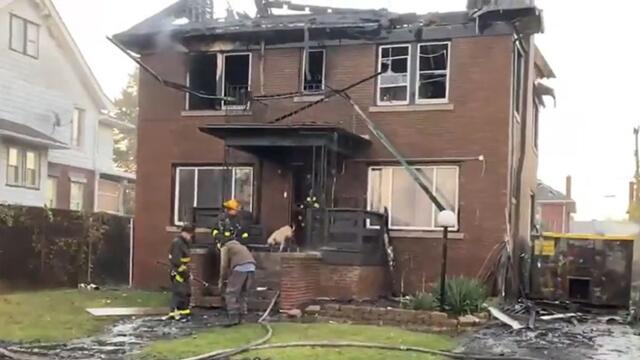 Dogs feared dead run out of torched house to relieved owner