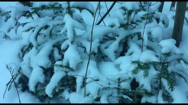 Природа Зимой под Необыкновенно Красивую Музыку Сергея Грищука!