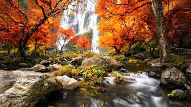 Восхитительная мелодия нежной любви! Это невероятно Потрясающие треки, Музыка для Души и Релаксации