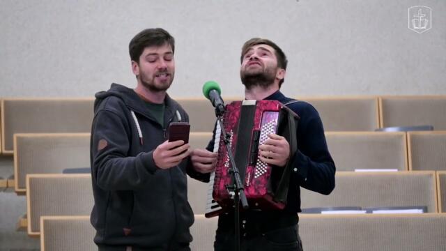 Братья малдоване