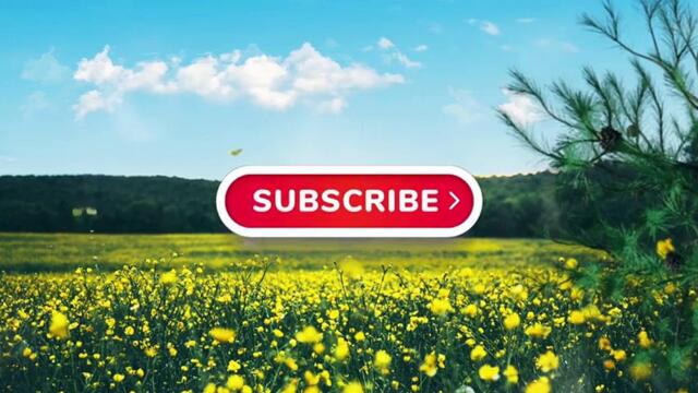 RELAXING, Nature, SOUNDS, Forest, SOUNDS, Birds, NATURE, Butterflies, Stress, Relief, HD, Video