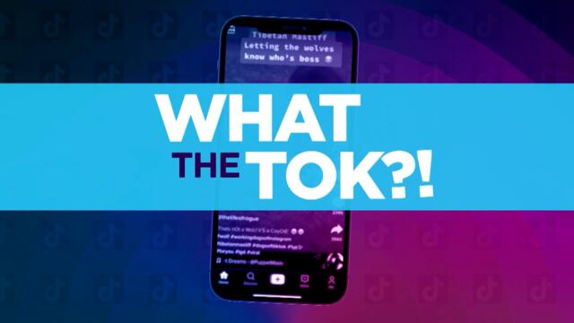 What The Tok: How Boring Would Your Hacked Photos Be?