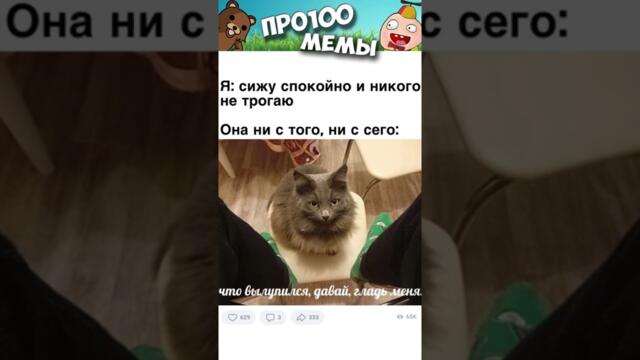 Мемы с Котами #анекдоты #юмор #приколы #мемы #shorts