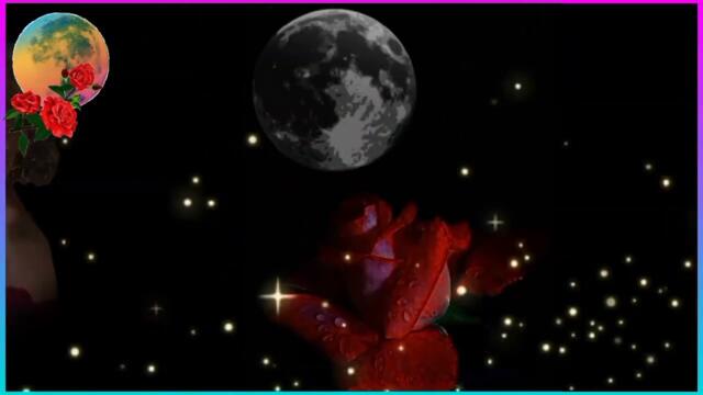 ЖЕЛТОГЛАЗАЯ НОЧЬ