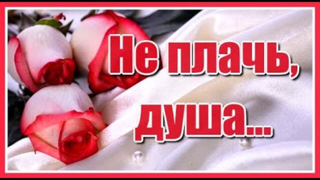 "Не плачь, Душа, что так сложилась жизнь. Ведь мы с тобой неопытные были..." Стихи для души...