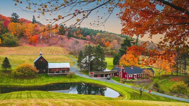 Невероятно красивая осенняя мелодия! Хочется слушать снова и снова! Лучшая музыка Сергей Грищук