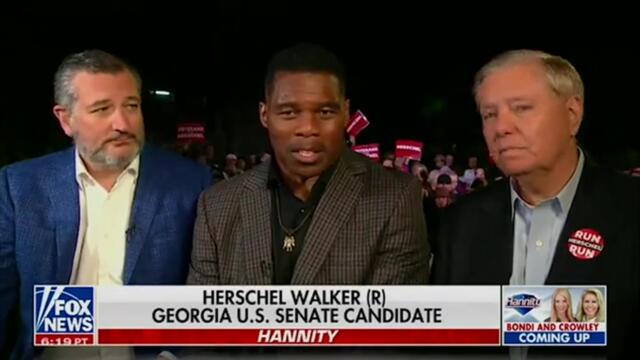 Herschel Walker refers to US midterms as the ‘erection’ in awkward gaffe