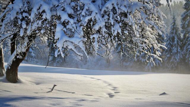 Романтика зимы! Невероятно красивая романтическая зимняя музыка Любви! Музыка лечит сердце
