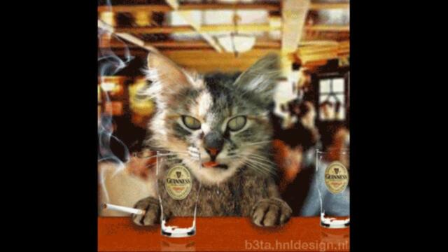 Дядя Жора   -   Пиво