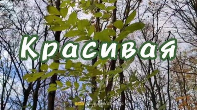 Самая нежная красивая мелодия Сергей Чекалин