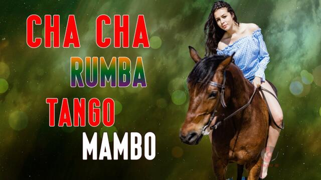 RUMBA - CHA CHA - TANGO - MAMBO 2022