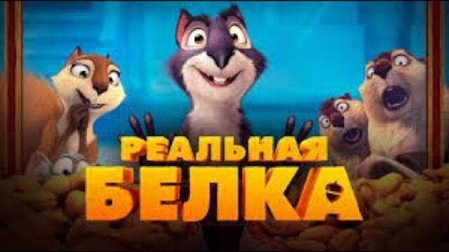 Реальная белка | Полнометражный мультфильм HD