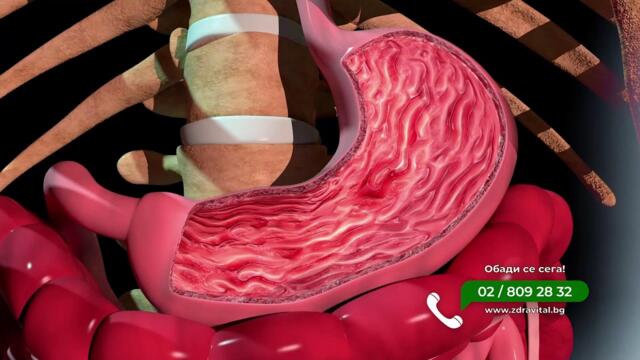 ✅ЕПИЗОД 224 на предаването ЕвроДикоФ