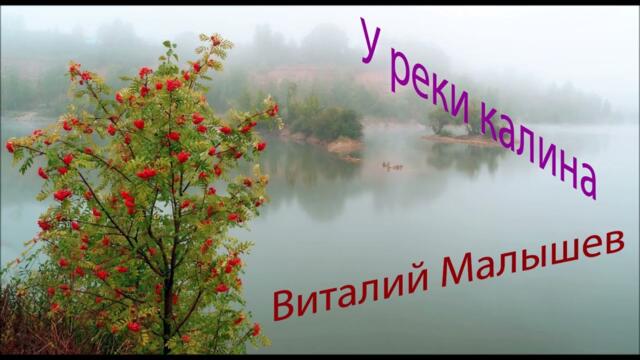 Виталий Малышев   -   У реки калина