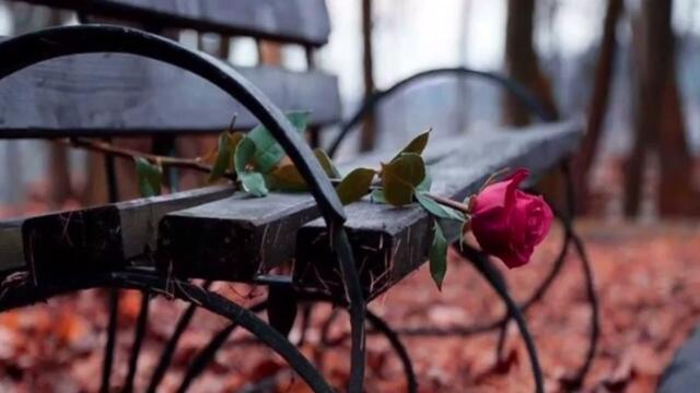 Михаил Бородин - ЛАВОЧКИ