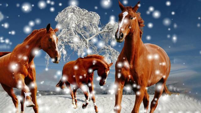 Невероятно красивая осенняя мелодия! Самая Красивая Музыка До Слёз!