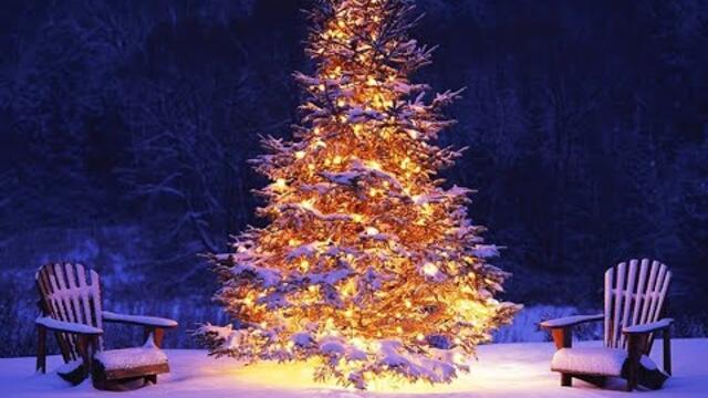 Виктор Королев   -  "С новым годом!"