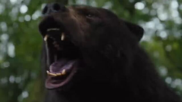 Cocaine Bear trailer stars drug-addled animal on rampage
