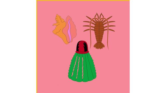 Turks & Caicos - Melocactus [FULL ALBUM]