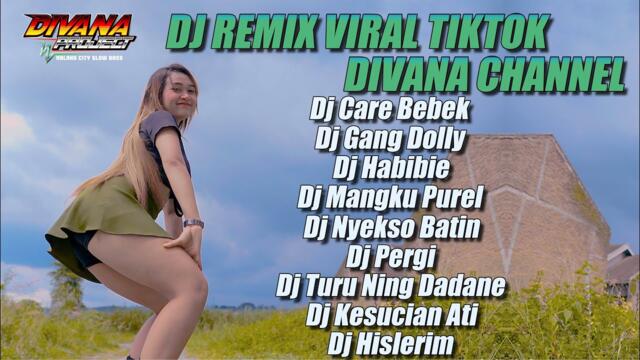 DJ CARE BEBEK REMIX X GANG DOLI VIRAL FYP TIK TOK TERBARU FULL ALBUM DIVANA PROJECT