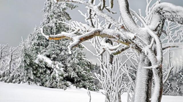 Романтика зимы! Невероятно красивая романтическая зимняя музыка Любви! Музыка лечит сердце