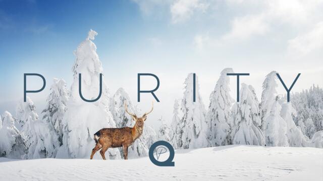 'Purity' Winter Ambient Mix ❄️ - 1 Hour of Music for Concentration