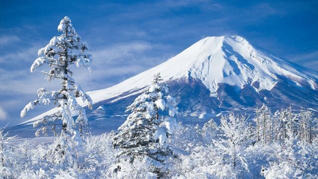 Романтика зимы! Невероятно красивая романтическая зимняя музыка Любви! Музыка лечит сердце