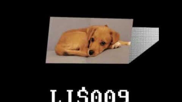 Subsided - LI​$​009 (Full Album) [low income $quad]