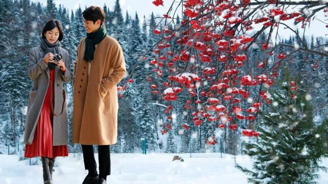 Красивая мелодия до слёз! Зимний снегопад! Сборник красивых волшебных зимних мелодий Сергея Чекалина