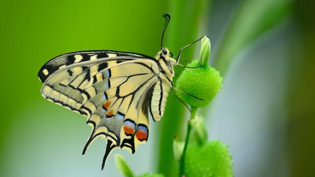 Очень нежная, красивая расслабляющая мелодия! Невероятно красивая романтическая музыка!