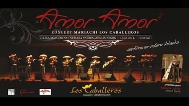 Los Caballeros - Amor, Amor