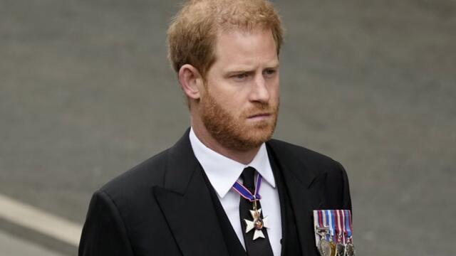 Harry On Stepping Down From Royals: William "Screamed" At Me