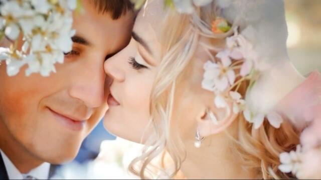 Алексей Соколов - Просто подари