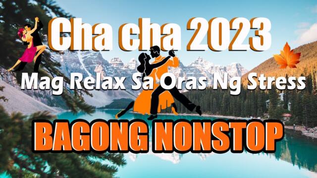 NONSTOP CHA CHA TAGALOG DISCO REMIX 2023  RELAXING DISCO CHA CHA VIBES 2023 COMPILATION