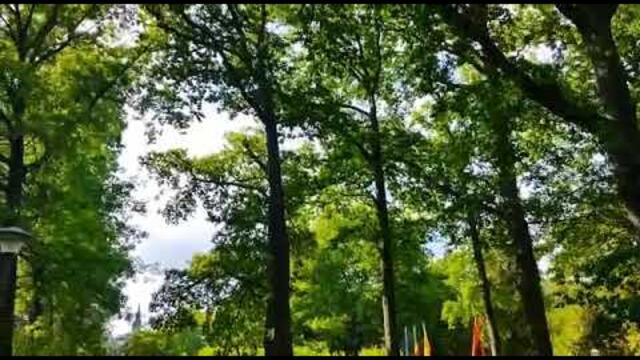 Март Бабаян  -  Миллион раз скажу