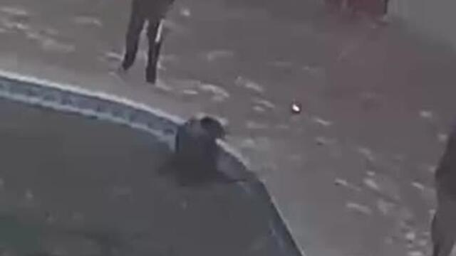 Boy Accidentally Falls in Frozen Pool While Family Just Kept Starring