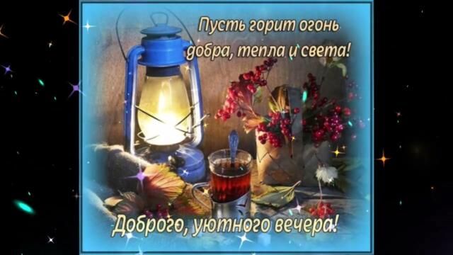 Добрый  вечер !   Алена  Винницкая - Птица