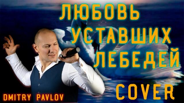 Дмитрий Павлов   -   Любовь уставших лебедей
