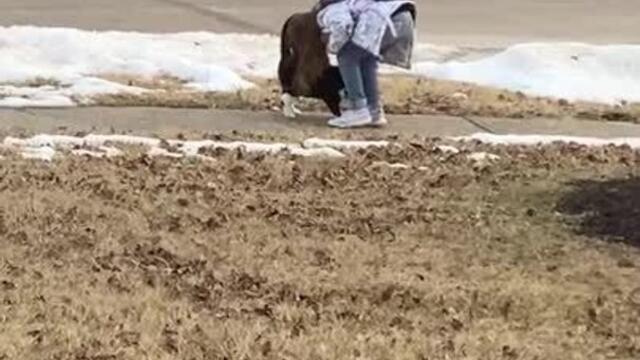 Cat Waits With Little Girl Till Her School Bus Drives Off