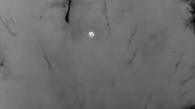 Missing two-year-old located in woods after officers deploy drone with thermal camera