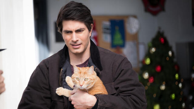 Девет котенца за Коледа (синхронен екип, дублаж по Нова телевизия на 25.12.2022 г.) (запис)