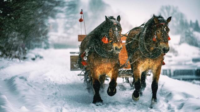 До слез красивая мелодия! Падал снег! ЛЮБОВЬ! Одна из самых красивых,волшебных зимних мелодий