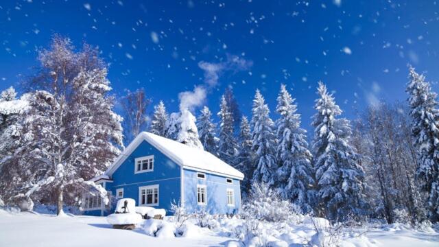 Зимняя атмосфера для спокойного отдыха 🎄 Уютная рождественская атмосфера и звуки камина