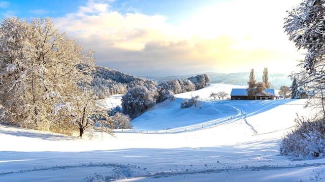 Снежный день ️🎄 Уютная рождественская атмосфера и звуки камина