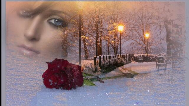 Женетта  Мархель  -  Алые Розы