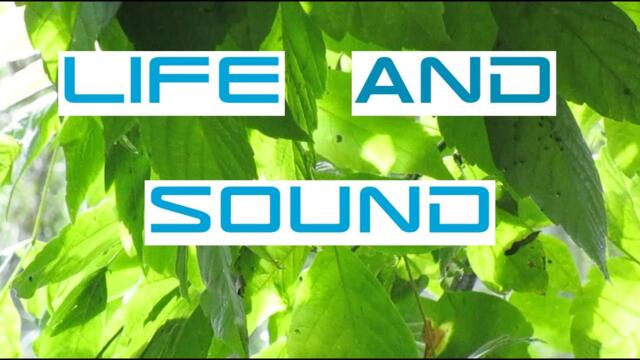 LIFE AND SOUND by ROBIN SUTCLIFFE - FULL ALBUM - VIDEO ART - GLITCH ART - COLOUR / SOUND MEDITATION
