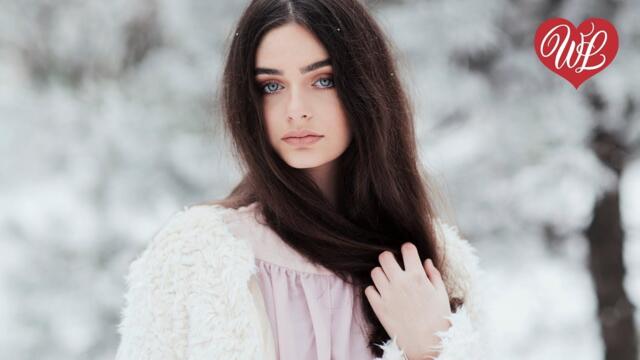 Виктор Салтыков   -   В РОЖДЕСТВЕНСКУЮ НОЧЬ