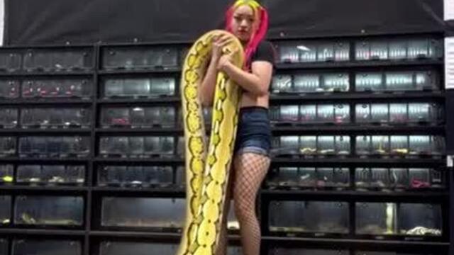 Woman Picks Up Giant Pet Snake Easily