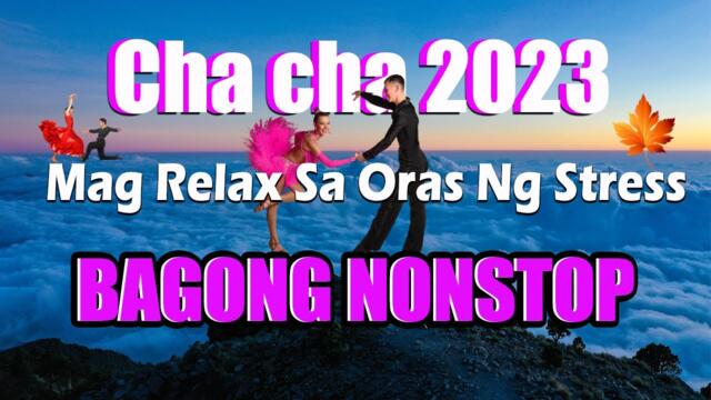 TOP 100 RELAXING CHA CHA DISCO MEDLEY 2023  BAGONG NONSTOP CHA CHA REMIX 2023  FILIPINAS CHA CHA 💖