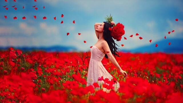 Самая красивая мелодия на свете, Затрагивающая Самые Сокровенные Уголки Души! Цветы распускаются